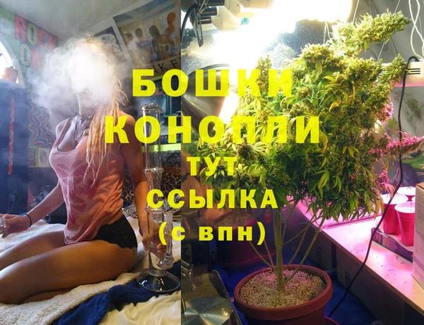 винт Майский