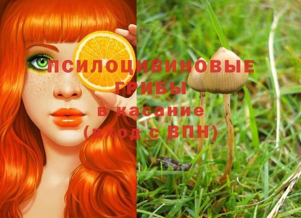 тгк Медногорск