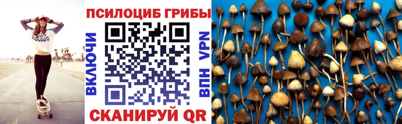 Псилоцибиновые грибы Cubensis  Купить  Кашира 
