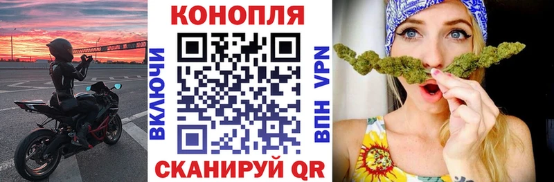 Купить закладки  Кашира  Канабис AK-47 